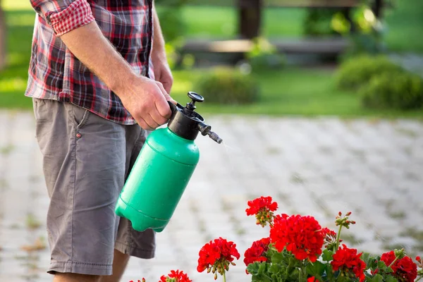 Close Male Hand Holding Pressurized Bottle Watering Flowers Garden — Stock Photo, Image