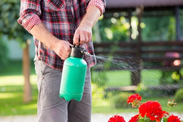 Primer Plano Mano Masculina Sosteniendo Botella Presurizada Regando Flores Jardín — Foto de Stock