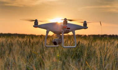 Buğday alan yukarıda uçan dronun kapatın. Üretim tarım ve teknoloji yenilikler