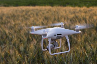 Buğday alan yukarıda uçan dronun kapatın. Üretim tarım ve teknoloji yenilikler
