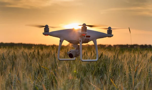 Zbliżenie Latający Dron Powyżej Pola Pszenicy Rolnicze Technologia Innowacje Produkcji — Zdjęcie stockowe