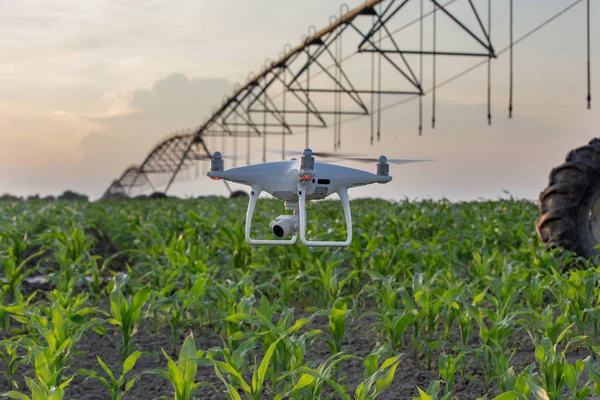 Nahaufnahme Einer Fliegenden Drohne Über Einem Maisfeld Mit Bewässerungssystem Hintergrund — Stockfoto