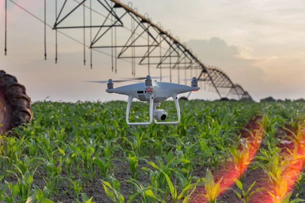 Drone Latający Mapowanie Pola Kukurydzy Przed System Nawadniania Gruntów Rolnych — Zdjęcie stockowe