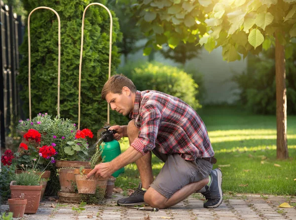 Muž Který Držel Pod Tlakem Láhev Zalévání Rostlin Květináči Zahradě — Stock fotografie