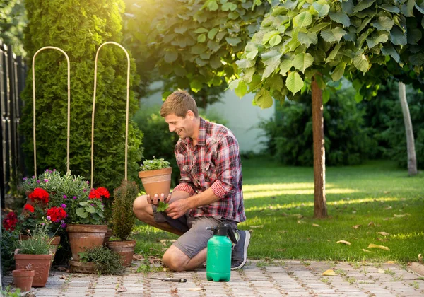 Jardinero Cuidando Plantas Macetas Jardín Desarraigar Hierba Del Suelo —  Fotos de Stock