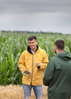Arpa alanında ayakta ve konuşurken tablet ile iki çiftçi