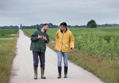 Baharda mısır tarlasının yanında yürüyen iki komik çiftçi.