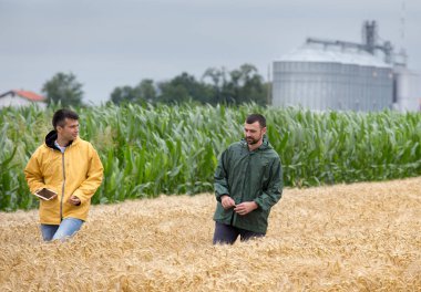 İki çiftçi altın buğday alanında arka planda silolar ile yürüme