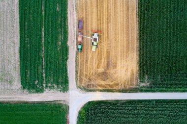 Üst birleştirmek hasat ve traktör römork dron yaz ateş buğday alanında çalışma ile