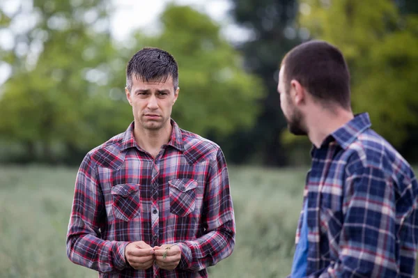 Zwei Männer Kariertem Hemd Stehen Auf Einem Haferfeld Mit Wald — Stockfoto