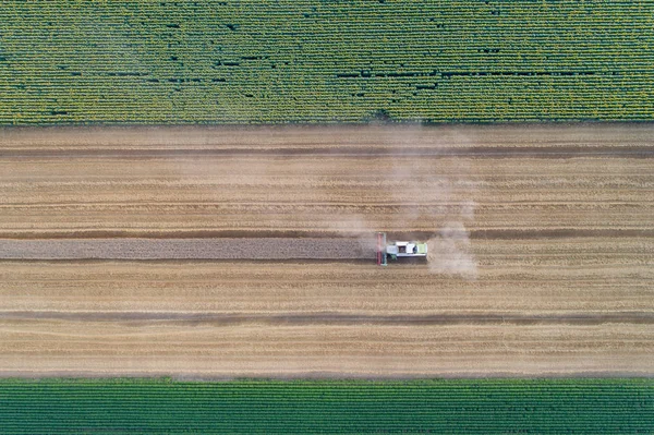 Pohled Shora Kombajn Pracuje Pšeničné Pole Létě Střílet Dron — Stock fotografie