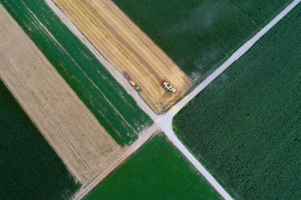 上から見るトレーラー ドローンから夏撮影で麦畑の作業と収穫とトラクターを組み合わせる — ストック写真