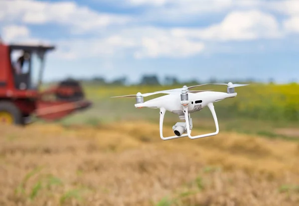 Drohne Fliegt Vor Mähdrescher Der Sommer Weizenfeld Arbeitet — Stockfoto