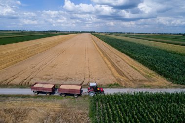 Traktörün iki römork tam buğday tahıl dron kırpma alanı ateş arasında kırsal yolda sürüş ile havadan görüntü