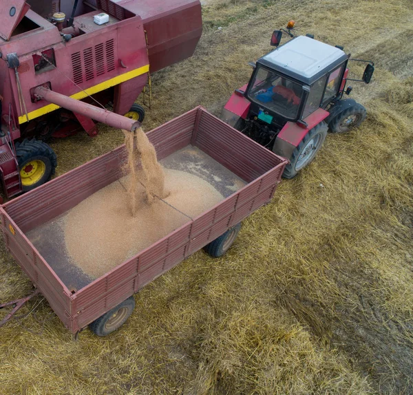 Imagen Aérea Del Remolque Carga Cosechadora Del Tractor Con Grano — Foto de Stock