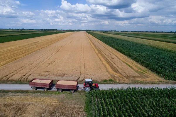 Воздушное Изображение Трактора Двумя Прицепами Полными Зерна Пшеницы Движущегося Сельской — стоковое фото