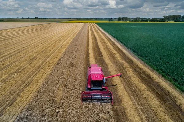 Luftbild Eines Mähdreschers Bei Der Arbeit Weizenfeld Sommer Aufgenommen Von — Stockfoto