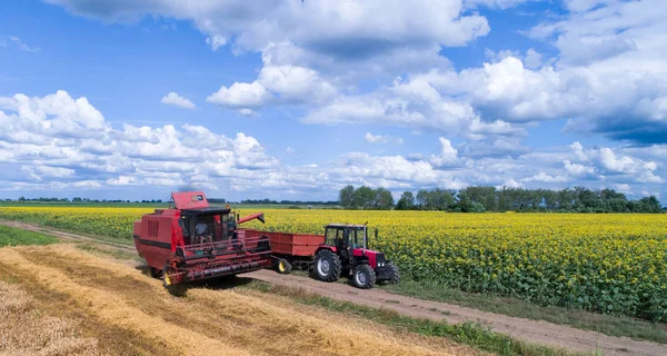 Mähdrescher Belädt Anhänger Eines Traktors Mit Weizengetreide Sommer — Stockfoto