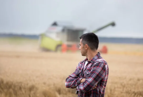 Knappe Boer Met Gekruiste Armen Permanent Voor Combineren Harvester Tijdens — Stockfoto