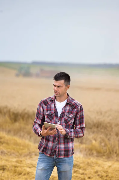 Mosolygó Csinos Farmer Tabletta Álló Előtt Kombájn Betakarításkor Területén — Stock Fotó