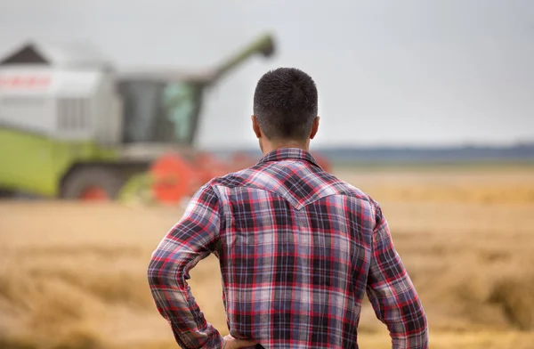 Rückansicht Eines Hübschen Bauern Der Während Der Ernte Auf Dem — Stockfoto