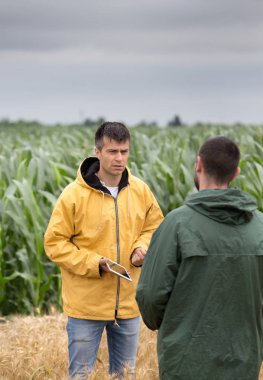 Arpa alanında ayakta ve konuşurken tablet ile iki çiftçi