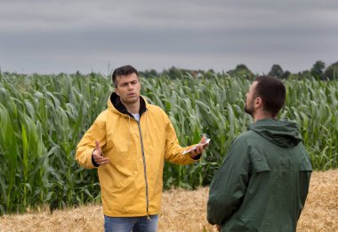 Arpa alanında ayakta ve konuşurken tablet ile iki çiftçi
