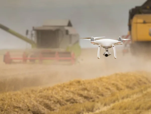 Drone Flying Před Dva Kombajny Práce Pšeničné Pole Létě — Stock fotografie