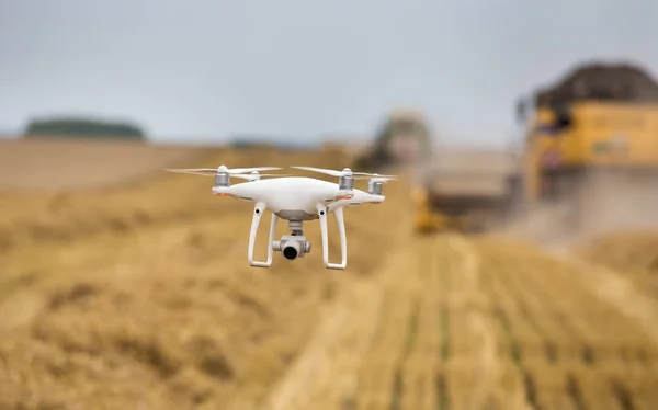 Drone Latający Przed Dwa Kombajny Żniwne Praca Polu Pszenicy Lecie — Zdjęcie stockowe