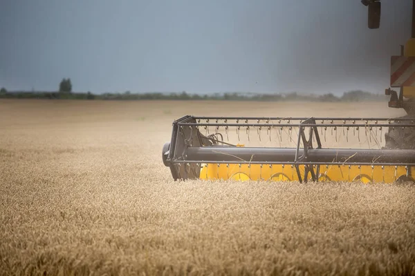 Close Van Hoofd Van Combine Harvester Machine Werkend Tarweveld Zomer — Stockfoto