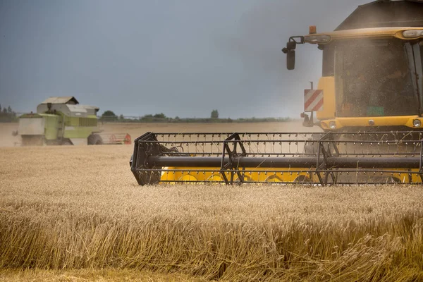 Frontansicht Des Mähdreschers Bei Der Arbeit Weizenfeld Sommer — Stockfoto