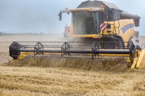 Frontansicht Des Mähdreschers Bei Der Arbeit Weizenfeld Sommer — Stockfoto