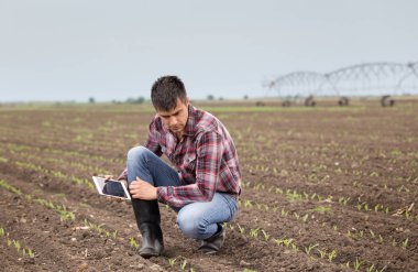 Tablet ve Mısır ile yakışıklı bir çiftçi alanında sulama sistemi arka plan ile ilkbaharda filizlenir