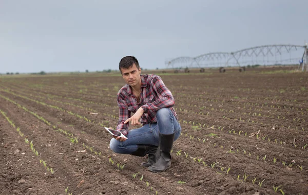 Handsome farmer with tablet and corn sprouts in field in springtime with irrigation system in background