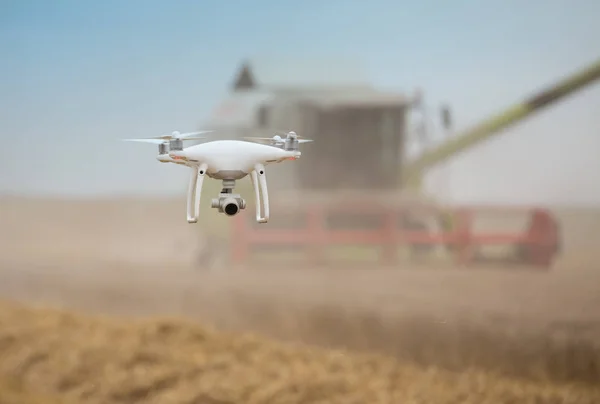 Drone Latający Przodu Kombajn Zbożowy Praca Polu Pszenicy Lecie — Zdjęcie stockowe