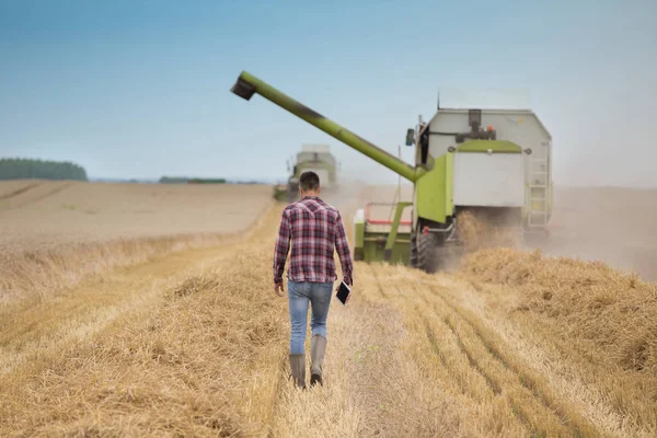 Visão Traseira Belo Agricultor Com Tablet Andando Frente Colheitadeira Durante — Fotografia de Stock