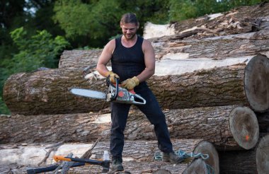 Ahşap üzerinde testere ile genç güçlü oduncu yığını günlüğe kaydeder.