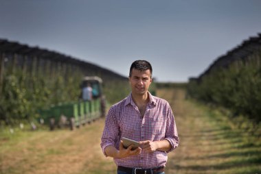 Elma bahçesi tablet ayakta hasat sırasında ile yakışıklı bir çiftçi. Traktör römork arka planda ile