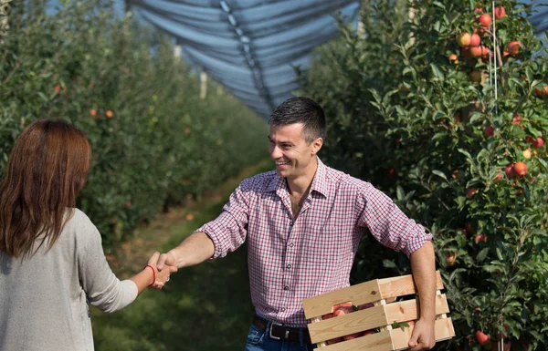 Glückliche Bauern Beim Händeschütteln Modernen Apfelgarten — Stockfoto