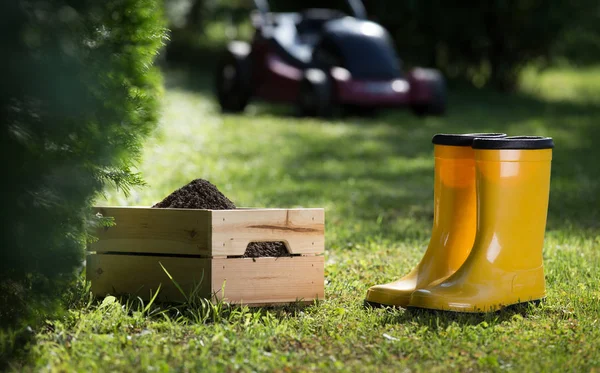 Crate with soil and gumboots on grass in backyard. Gardening equipment for maintenance