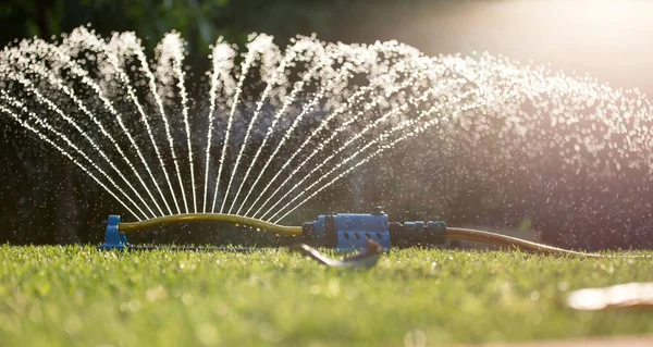 Watering Lawn Garden Splashing Drops Hose Gardening Sprayer — Stock Photo, Image