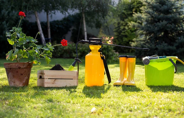 Attrezzature Giardinaggio Disposte Prato Verde Nel Cortile — Foto Stock