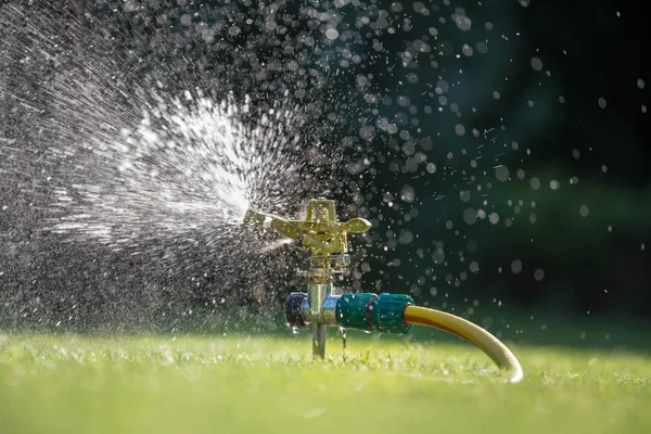 Arrosage Pelouse Dans Jardin Gouttes Éclaboussure Tuyau Pulvérisateur Jardinage — Photo