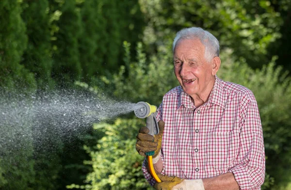 快乐老人在花园里浇灌植物从手持手枪软管 — 图库照片
