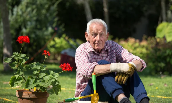 Starszy Człowiek Siedzi Ogrodzie Obok Doniczka Czerwonych Pelargonii Narzędzia Obok — Zdjęcie stockowe
