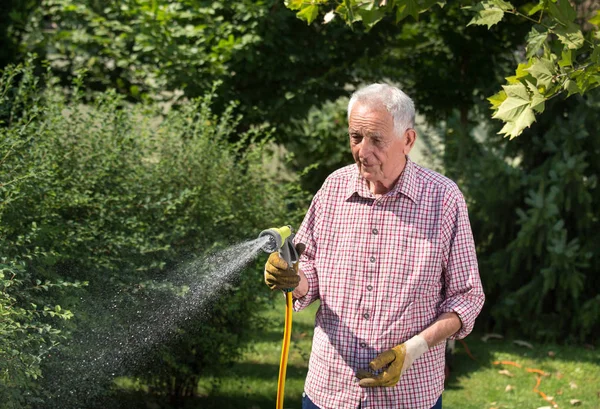 Senior man watering plants in garden with handheld pistol on hose. Taking care of backyard