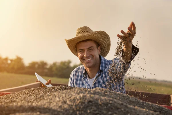 满意的英俊农夫用草帽拿着片剂和投掷向日葵种子在空气从满是五谷的拖车在收获期间 — 图库照片