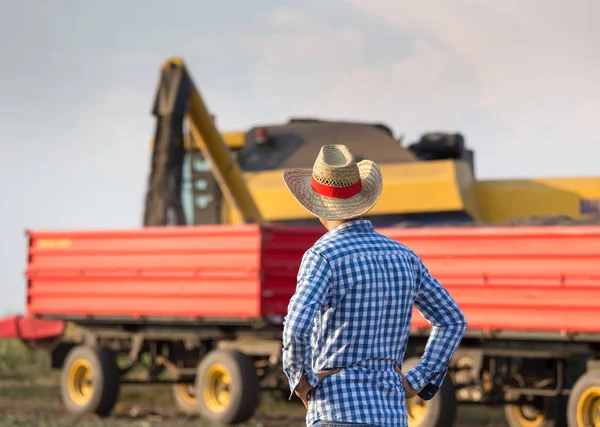 Campesino Guapo Con Paja Delante Cosechadora Remolques Durante Cosecha — Foto de Stock