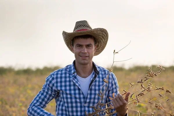 ハンサムな農家では収穫期のダイズ茎を保持している麦わら帽子の肖像画 — ストック写真