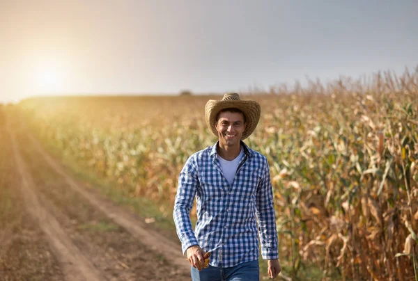 夏天的玉米地里带着草帽走路的英俊农夫 — 图库照片